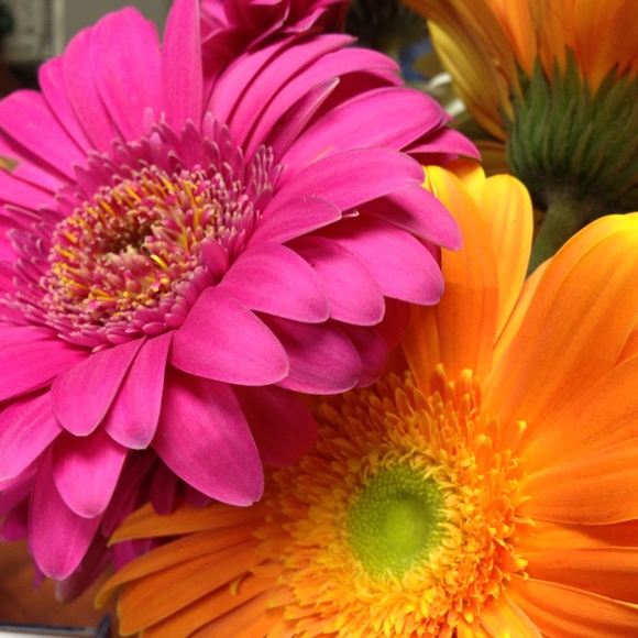 Meet your Posher, Lynn - Picture 2 of 2